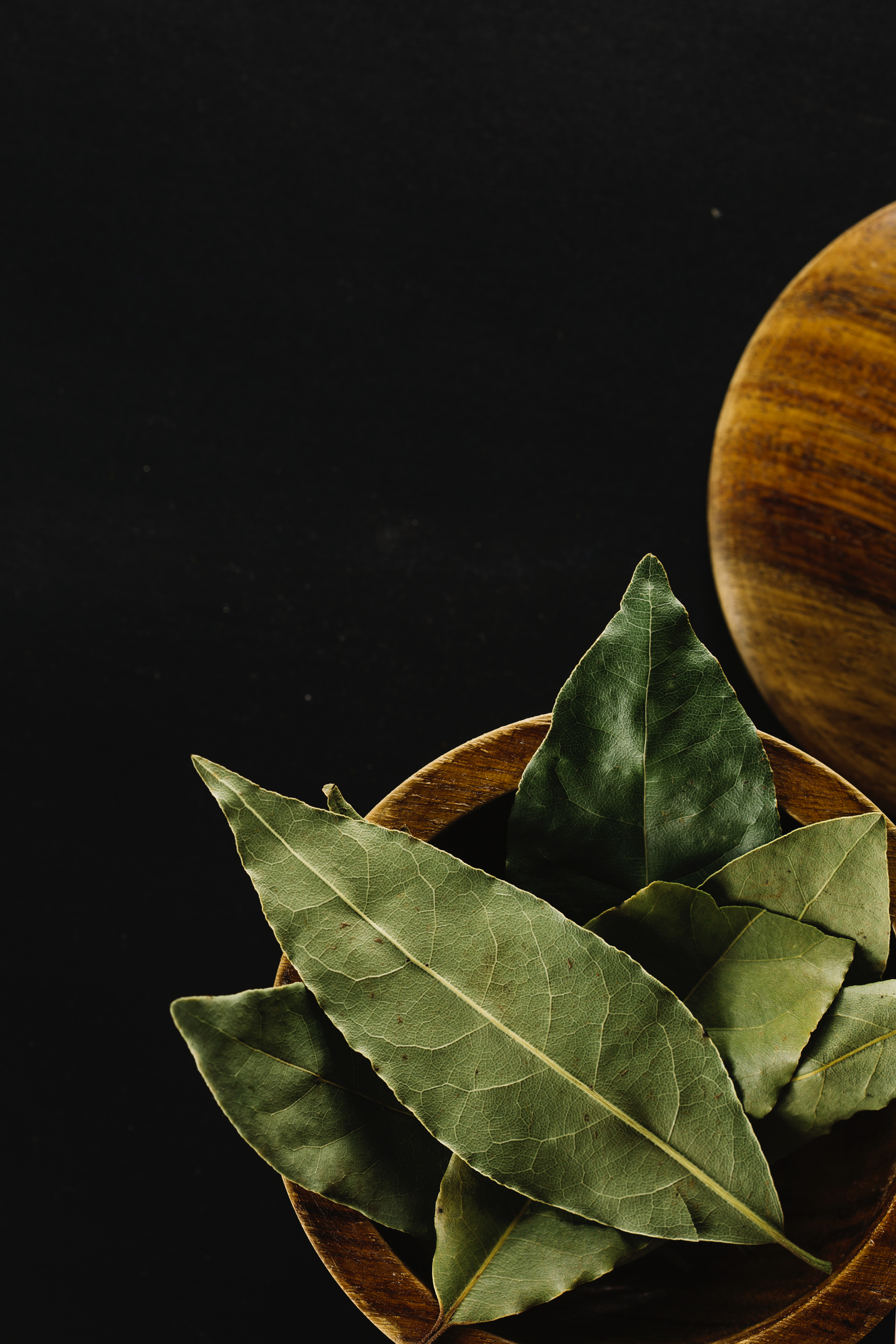 Aromatic Bay Leaves